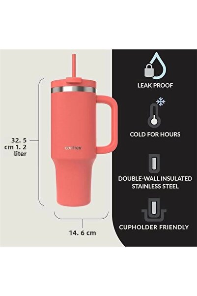 AyrStore Unisex Adult Streeterville Tumbler Insulated Water Bottle with Straw, 1.2L, Coral