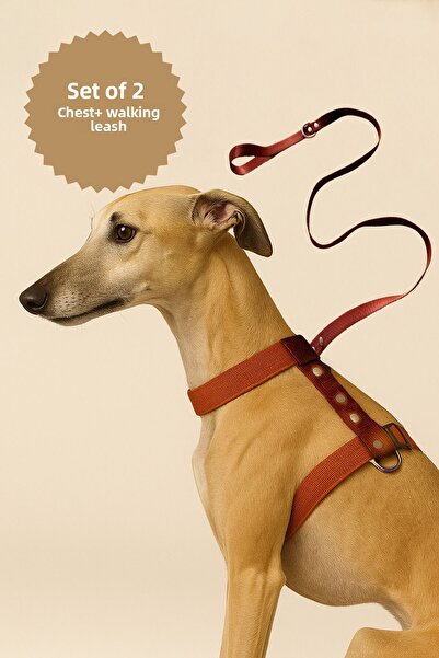 MOOD PAW Caramel Mood Anti-Pull Adjustable H Type Dog Chest and Travel Leash Set