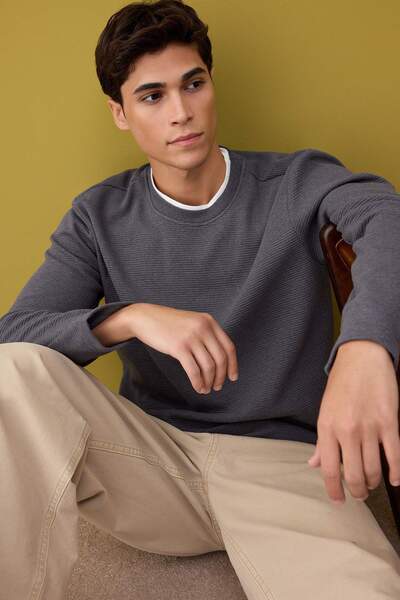 Trendyol Collection Gray Regular/Normal Cut Textured Basic Sweatshirt Tmnaw22Sw0658