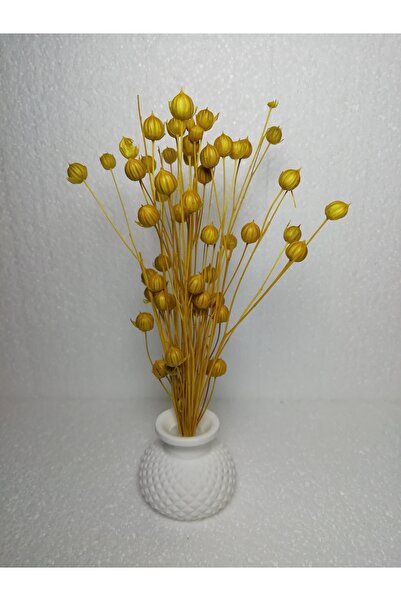TAKATUKA HEDİYELİK TTH Dekoratif 6lı Set Mini Tombik Saksılı Kuru Çiçek Luna