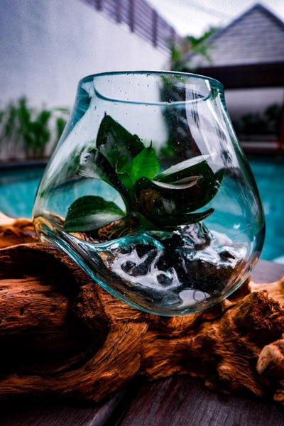 VERSA Cam El Yapımı Vazo,eriyen Cam Vazo,molten Glass On Wood Vazo,ahşap Tasa...