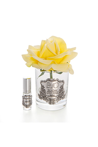BUON ODORE Cam Silver Sari Icon Luxury Home Perfume | Kaliteli ve Uzun Süre K...