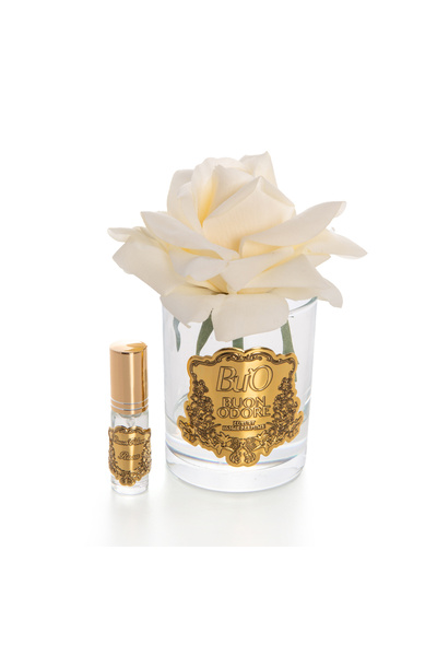 BUON ODORE Cam Gold Krem Tek Gül Ev Parfumu | Kaliteli ve Uzun Süre Kalıcı Koku