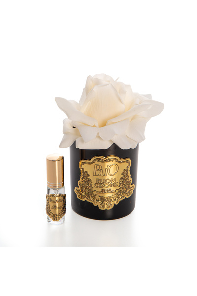 BUON ODORE Siyah Cam Gold Krem Tek Gül Ev Parfumu | Kaliteli ve Uzun Süre Kal...