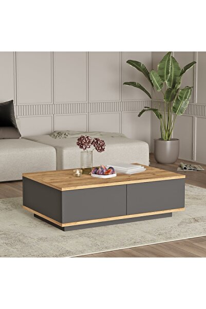 Yurupa Aven Orta Sehpa 60x90cm 2 Kapaklı Çam-Antrasit AVE14-AA