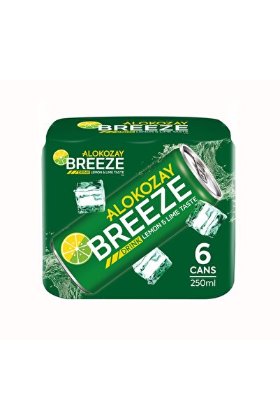 Alokozay بريز عادي 250 مل × عبوة من 6 قطع
