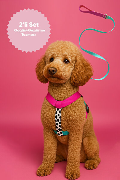 MOOD PAW Sugar Mood Çekiştirme Önleyici Ayarlanabilir H Tipi Köpek Göğüs ve Gezdirme Tasması Seti