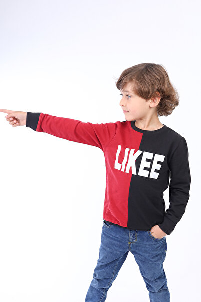 Toontoy Boy's Two Color Printed Sweatshirt