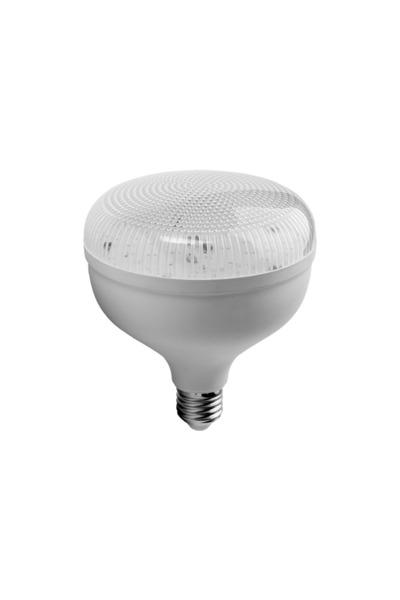 Noas Kristal Torch LED Ampul E27 50W 6500K Soğuk Beyaz YL95-5011