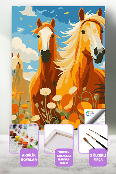 Tuvalle Bozkırın Rüzgarı Sayılarla Boyama Seti, Hobi Seti, 40X50 Tablo, Fırça...