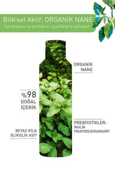 Yves Rocher بشرة مختلطة الدهون والمعرضة لحب الشباب، مسحوق مضاد للرؤوس السوداء، حمض الجليكوليك، نعناع نقي، 150 مل