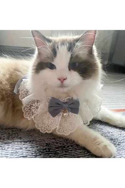 Animalovers Stylish Braided Cat Collar Adjustable Neck Jewelry with Bow Tie and Lace Bib