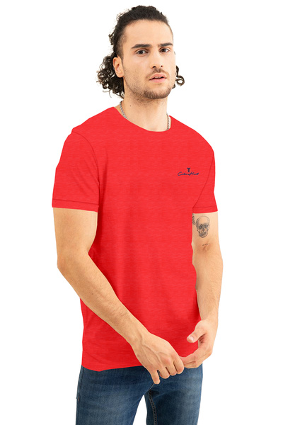 COLOR HUNT Stretch Cotton Mens Crew Neck T- Shirt with Treding Prints