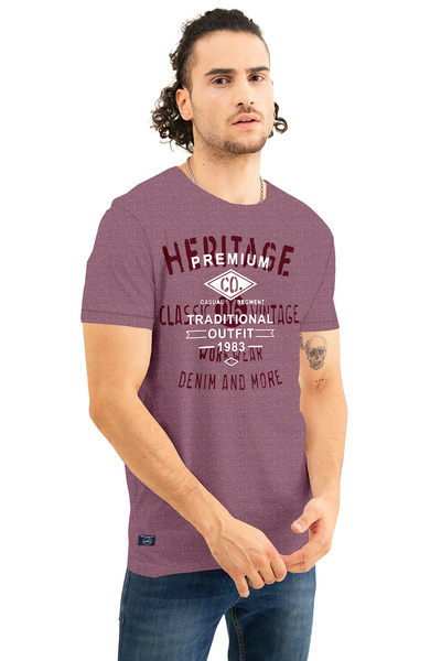 COLOR HUNT 100% Cotton Mens Crew Neck T- Shirt with Treding Prints