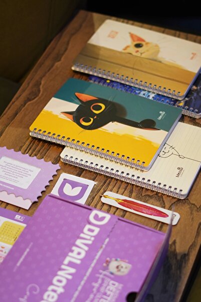 DİVAL A5 Spiral Cardboard Cover Set of 4 - 2 Squared, 2 Lined, Lesson Planned Note School Notebook - with Meow Cat