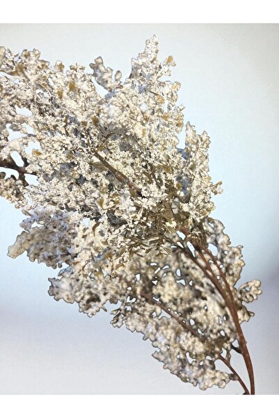 Happyland Yapay Çiçek Beyaz Pampas Cipso Lüks Çiçek Dekor Ev Dekorasyon Çiçeği 100 cm