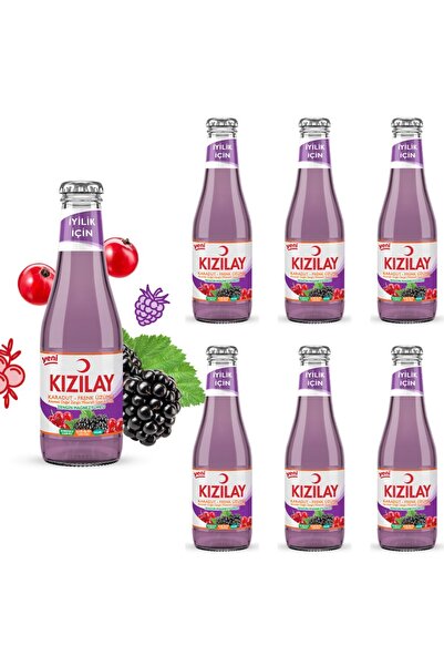 Kızılay KIZILAY MADEN SUYU DOĞAL KARADUT FRENK ÜZÜMÜ AROMALI 200 ML X 6 ADET