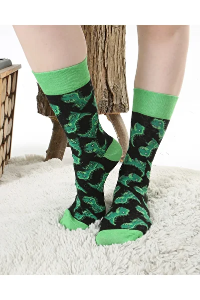 Socks Tunnel Colorful Green Socks with Dinosaur Pattern