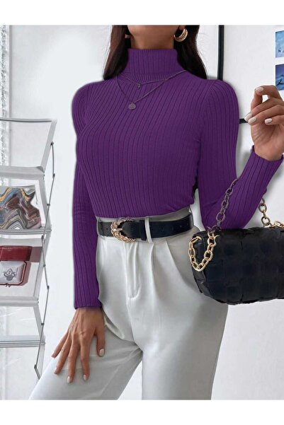 Intisimo Pulover cu guler înalt, costum, slim fit, tricotat fin, dungi, visco...