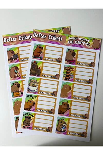 cakaybu مجموعة ملصقات دفتر كابيبارا مكونة من 20 ملصقًا ملونًا ولطيفًا للمدرسة...