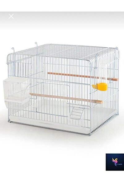 ARSPOLO Üstü Düz Kafes 45/35/40 Ölçüleri Akıllı Yemlik Hediyeli Güşmüş Ful Set