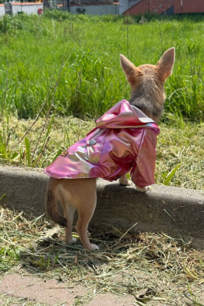 PATİLİNKA Kedi - Köpek Kıyafeti Kapşonlu Kırmızı Yağmurluk & Mont