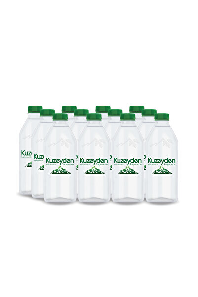 KUZEYDEN Premium Doğal Mineralli Su 12x400ml