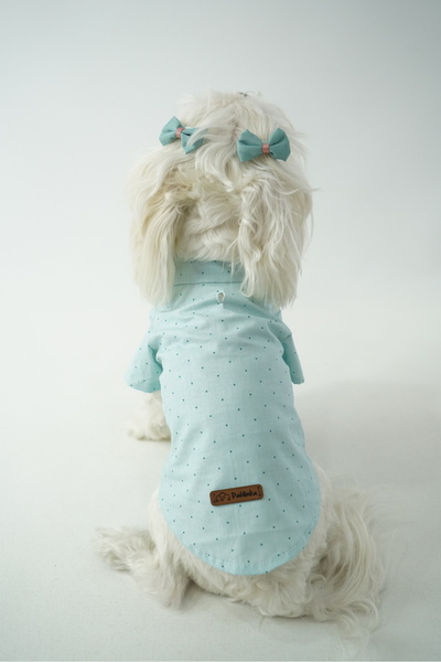 PATİLİNKA Kedi- Köpek Yazlık %100 Pamuklu Poplin Gömlek - Tişört - Elbise - K...