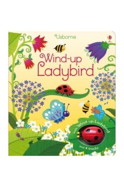 Usborne Publishing Wind-up Ladybird