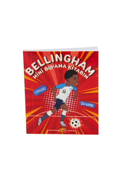 lowell home كتاب تلوين بيلينغهام نيسي وورلد