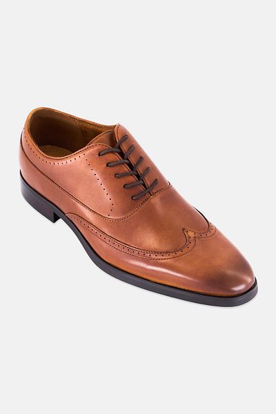 Aldo Men Oleander Lace Up Derby Shoes, Brown