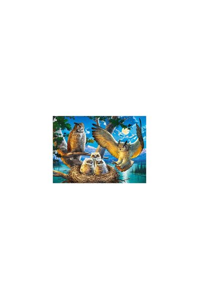 Castorland Puzzle - Owl Family, 180 piese