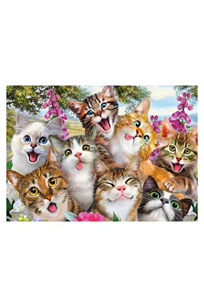 Schmidt Puzzle - Cat Selfie, 500 pieces