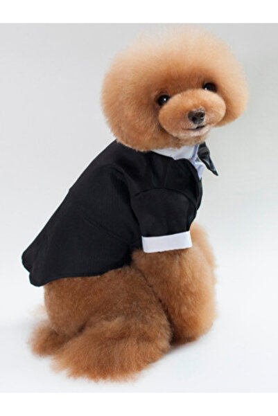 CAZEO Köpek Smokin Kıyafeti – Siyah - Özel Gün, Parti ve Düğün İçin Şık Elbise