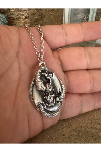 Yuchicly قلادة فضية على شكل جمجمة وثعبان حلزوني للنساء والرجال - قلادة قوطية ...