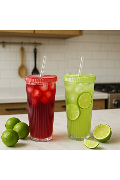 CEZVE HOME 2 Pieces 600 ml Mica Cups with Lid and Straw | Presentation Cup Soft Drink Cup