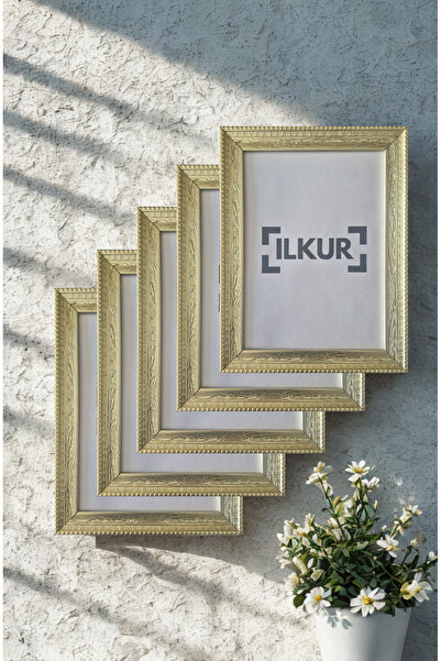 ilkur A4 Size (21X30 cm) Wooden Patterned Frame with Matte Glass Set of Five