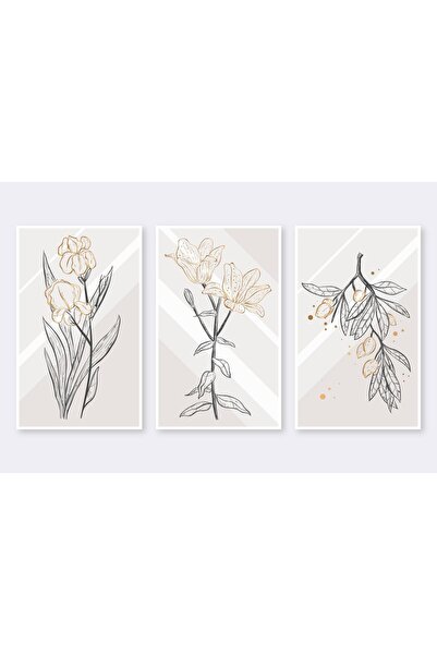 Harikabirev HARİKABİREV | COMBINAT DE PLANTE MINIMALISTE CU MODELE | MDF PLKSMDF CU CADRU PLEXY