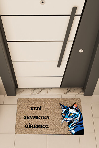 Dormot High Quality Digital Printing Brown, Blue Cat Cannot Love Theme Door Mat