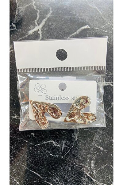 nutika Special Design Steel Earrings