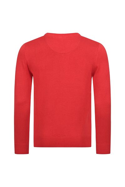 U.S. Polo Assn. U.S. POLO ASSN. Herren V-Neck Pullover P006