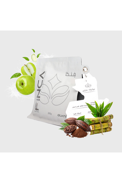 finca roasters جواتيمالا مارتين - guatemala martin