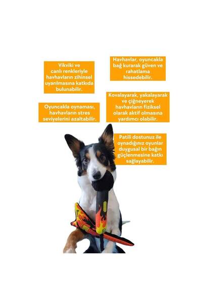 Havhav – Vik Vik Gitar ve Mikrofon Peluş Köpek Oyuncak Seti