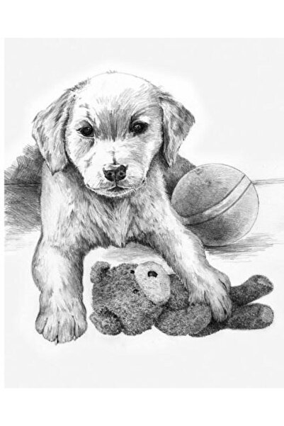 Royal Schita creion incepatori. Catel cu ursulet