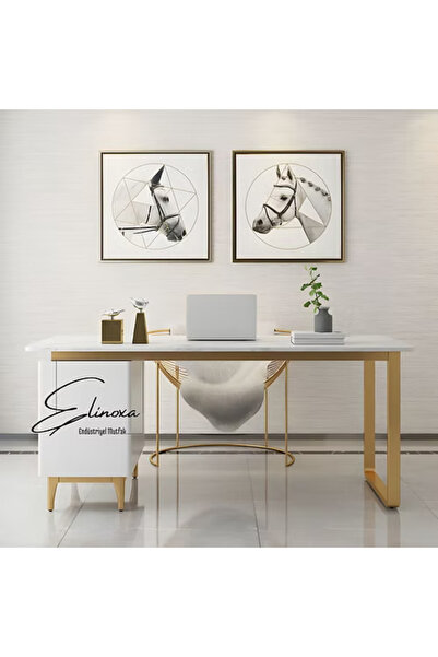Elinoxa 720-0255 Modern Dikdörtgen Ofis Çalışma Masası Metal Ayaklı Lüks Tasarım 120x60x75h