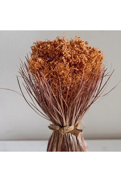 Home Box Caven Mixed Grass Bundle - 17x17x35 cm