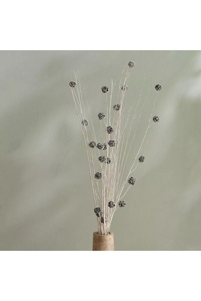 Home Box Seyna Dried Floral Bud Deco Sticks