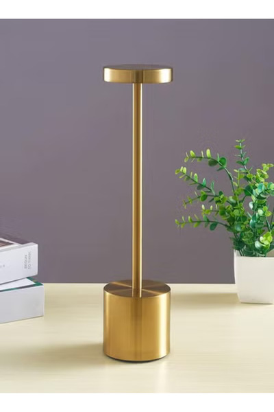 Taimi Rechargeable Cordless Table Lamp Operated Desk Lamps 3-Levels for Restaurants Garden Bedroom