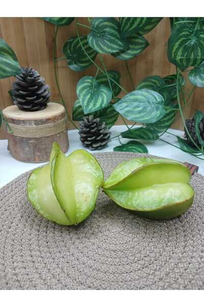 miralanya meyvecim 2 adet yıldız meyvesi