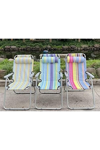 GO2CAMPS Foldable Camping Chair with Head Rest, Adjustable Positions, Heavy Quality(Black Line)